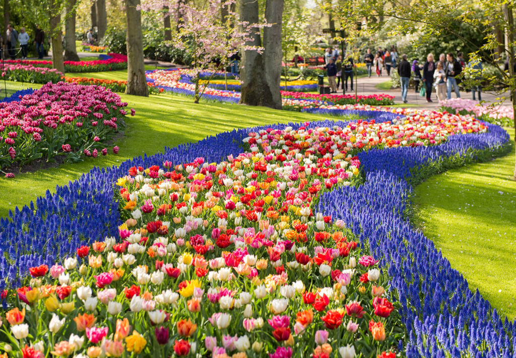 KEUKENHOF - Profitez de 7% de réduction sur l'achat de vos billets pour le plus célèbre champs de tulipes de Hollande