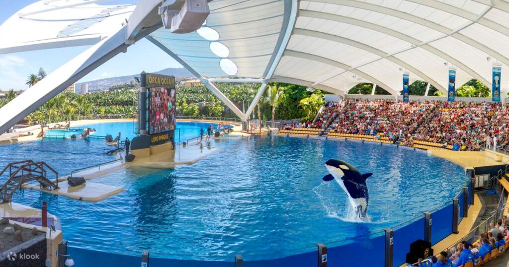 Experience an unforgettable day at Loro Parque, the kingdom of exotic animals