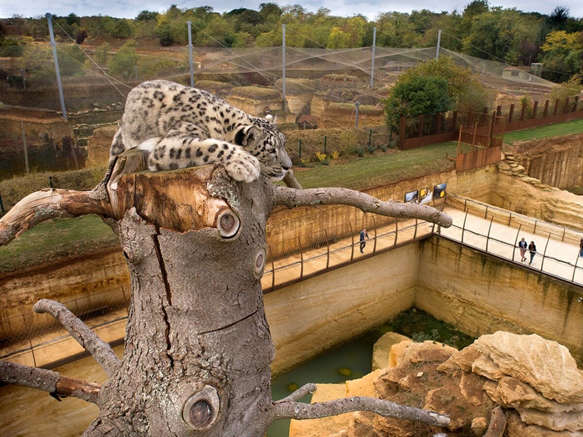 D couvrez Le Bioparc De Dou la Fontaine Une Exp rience De Safari d-couvrez-le-bioparc-de-dou-la-fontaine-une-exp-rience-de-safari